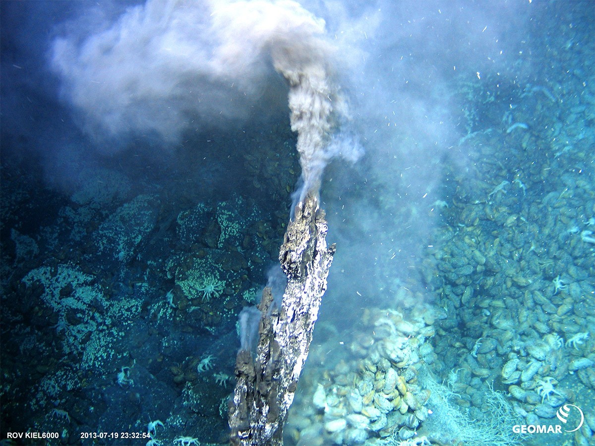 Zum Artikel "Geologie-Expedition: Reiche Beute aus der Tiefsee"