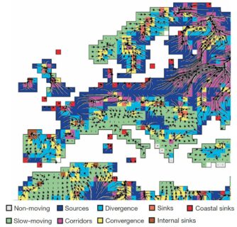 Klimavektoren in Europa: Die Pfeile zeigen an, in welche Richtung sich Klimaregionen über den Kontinent bewegen. Die lila markierten Bereiche zeigen Klimakorridore an: Hier treffen verschiedene Klimavektoren aufeinander. Dies führt dazu, dass besonders viele Tier- und Pfl anzenarten in diese Region einwandern werden. Klimaquellen sind blau eingezeichnet: In diesen Regionen entsteht ein Klima, das es in den angrenzenden Gebieten nicht gibt. Das bedeutet, dass dort Arten auswandern, aber keine neuen Arten zuwandern. In den grün gefärbten Bereichen verändern sich die Temperaturen – im Gegensatz zu den zuvor genannten Gebieten – nur langsam. (Bild: FAU)