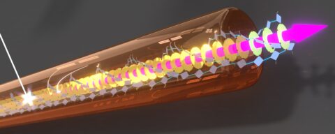 Energietransfer durch eine einzelne supramolekulare Nanofaser. (Grafik: Andreas T. Haedler/Universität Bayreuth)