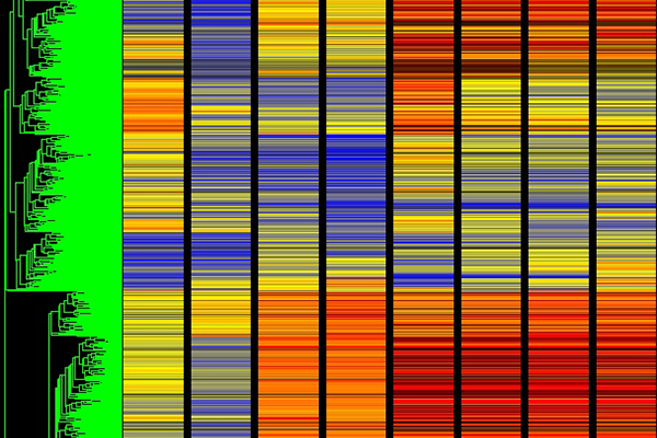 Zur Seite: Integrated Life Sciences – Biologie, Biomathematik, Biophysik (B.Sc.)