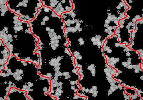 Kolloidales Gel aufgenommen mit einem Konfokalmikroskop. Die Bildung eines solchen Gels geht einher mit gerichteten Ketten aus Teilchen (hier rot illustriert), die das gesamte System durchspannen. (Bild: Ronja Capellmann/Michael Schmiedeberg)