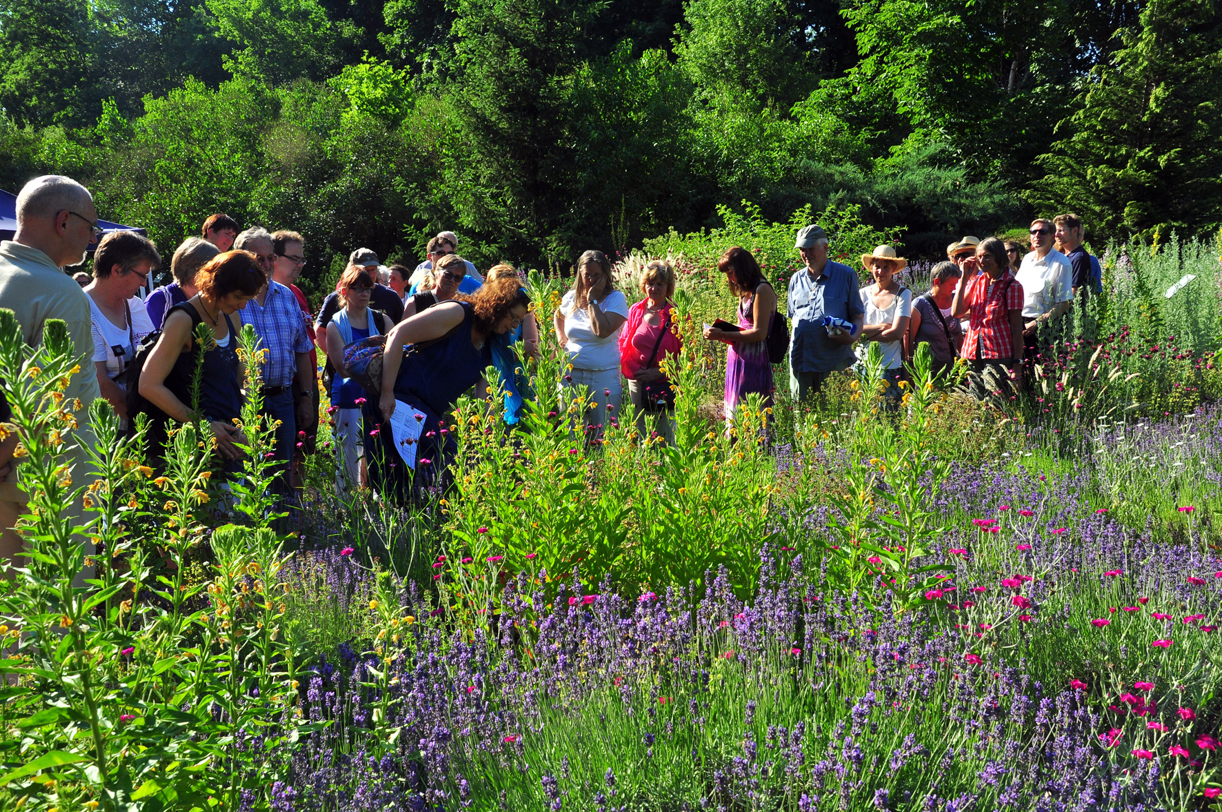 Zum Artikel "Tag des Botanischen Gartens am 12. Juni 2016"