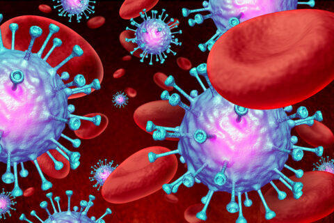 Zum Artikel "FAU erhält Förderung für neuen Elite-Masterstudiengang Integrated Immunology"