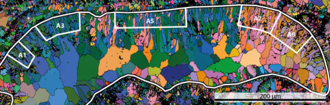 Die Abbildung zeigt einen Dünnschliff eines fossilen Organismus', der noch keiner Art eindeutig zugeordnet werden konnte. Die FAU-Wissenschaftler haben die Probe mit einer materialwissenschaftlichen Methode untersucht: Die bunten Felder sind einzelne Kristalle, die Farbe zeigt ihre krystallographische Orientierung. (Bild: https://www.frontiersin.org/articles/10.3389/feart.2018.00016/abstract)