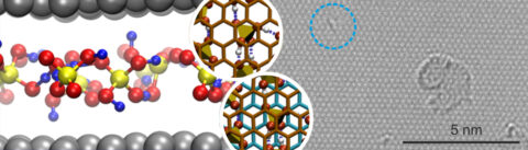 Die linke Seite stellt eine atomare Konfiguration aus den Molekulardynamik-Simulationen dar. Die rechte Seite zeigt eine Aufnahme aus dem Transmissionselektronenmikroskop. (Bild: FAU/Bernd Meyer; Uni Ulm/Ute Kaiser)