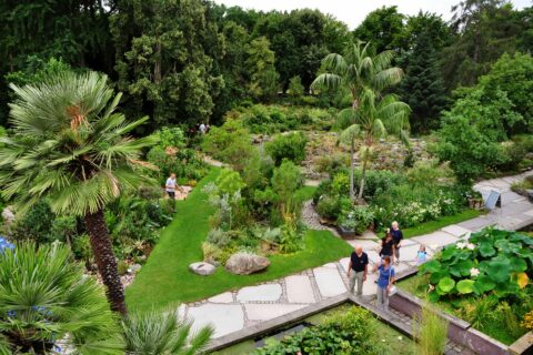 Blick in den Botanischen Garten