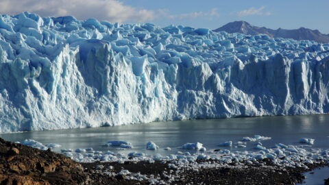 Der Perito-Moreno-Gletscher, einer der größten Gletscher im Südpatagonischen Eisfeld in Chile, mündet in den Lago Argentino. Wenn solche Auslassgletscher schrumpfen, müssen sie erst wieder eine stabile Front ausbilden. (Bild: FAU/Matthias Braun)