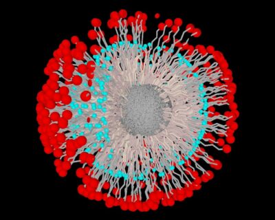 Dreidimensionale Graphik eines zweifach funktionalisierten Al2O3 Nanopartikels. (Grafik: FAU/Tobias Luchs)