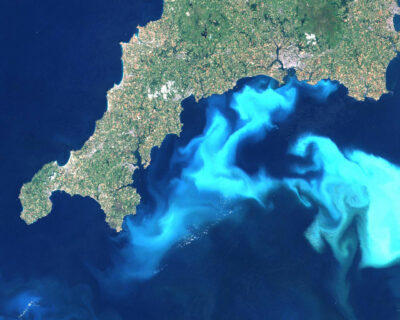 Satellitenbild einer Algenblüte von Emiliana huxleyi vor SW-England – die kalkigen Schalen färben das Wasser milchig weiß (Foto: NASA)