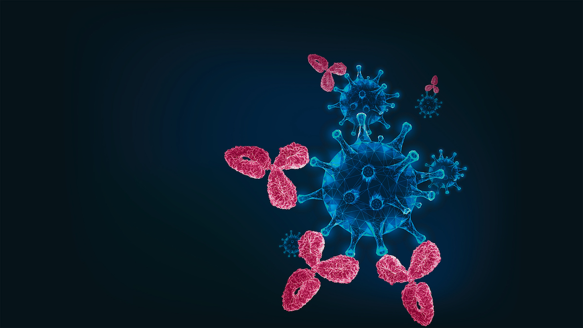 Symbolbild Coronavirus mit Antikörper