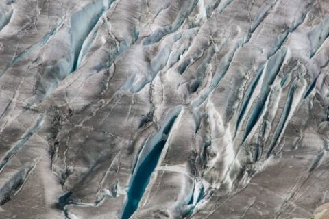 Schmelzwasser gefüllte Gletscherspalten im unteren Bereich des Grossen Aletsch im Sommer 2019. (Bild: FAU/Christian Sommer)
