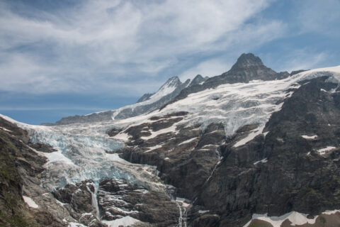 Oberer Grindelwald Gletscher und Schreckhorn (h.r.) in den Berner Alpen. Der Grindelwald Gletscher hat sich über die letzten Jahrzehnte stark zurückgezogen und ist inzwischen in mehrere Teile zerfallen. (Bild: FAU/Christian Sommer)
