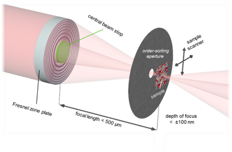 Fresnel-Zonenplatten werden üblicherweise als diffraktive Fokussierlinsen in der Röntgenmikroskopie eingesetzt. Im Erlanger STXM am Paul-Scherrer-Institute werden Röntgenstrahlen mittels solcher Fresnel-Linsen fokussiert und die Probe wird zur Abtastung mit höchster Präzision durch diesen Fokus bewegt. Der transmittierte Strahl ist ein Maß für die lokale Röntgenabsorption, die wiederum Informationen über Variationen der elementaren und chemischen Zusammensetzung, sowie elektronische und magnetische Eigenschaften enthält. (Grafik: Dr. Benedikt Rösner, Paul-Scherrer-Institut)