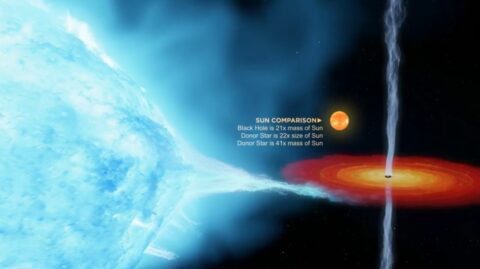 Das Bild zeigt die schematische / künstlerische Darstellung des schwarzen Lochs Cygnus X-1. Links sieht man eine blaue Masse, die angesogen wird, rechts das schwarze Loch mit einer roten Corona. Zum Vergleich ist die Sonne eingezeichnet.