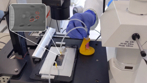 Das Foto zeigt einen Experimentaufbau im Labor der Biophysik. Man sieht eine Hand in einem Handschuh steckend, die eine Probe an einem Gerät untersucht. In einer Nahaufnahme sieht man links oben das Ergebnis.