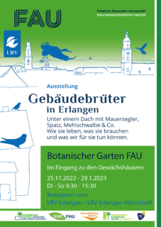 Zum Artikel "Gebäudebrüter in Erlangen – Ausstellung im Botanischen Garten vom 25.11.22 – 29.1.23"