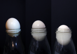 Auf dem Foto sieht man vor einem schwarzen Hintergrund drei Glasflaschen. Auf jedem der Flaschenöffnungen steckt ein Hühnerei ohne Schale. Das linke Ei steckt oben auf dem Flaschenhals, das mittlere steckt mitten drin und im rechten Flaschenhals sieht man, dass das Ei die Engstelle passiert hat.