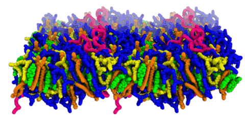 Zum Artikel "Wenn der pH entscheidet: Neue Einblicke in mRNA-Nanopartikel"