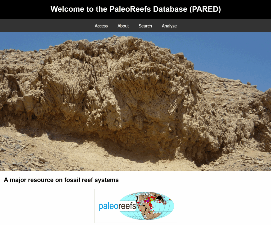 In der Erlanger Paläoriff-Datenbank sind alle fossilen Riffsystem der letzten 550 Millionen Jahre eingetragen. Hauptzweck dieser Datenbank ist es, die Verwundbarkeit und Anpassungsfähigkeit dieser empfindlichen Ökosysteme auf Klimawandel zu beurteilen. (Quelle: https://www.paleo-reefs.pal.uni-erlangen.de/)